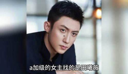 吃瓜八卦娱乐圈白鹿,瓜田里的明星风云